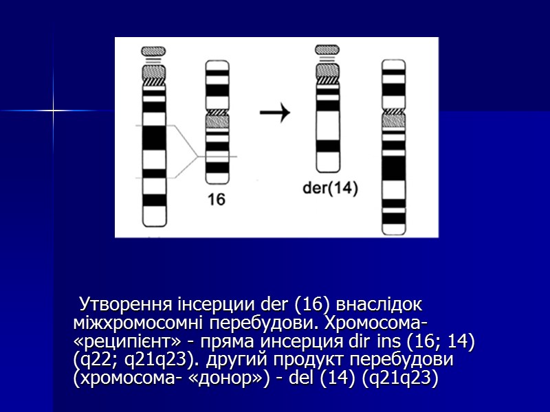 Утворення інсерции der (16) внаслідок міжхромосомні перебудови. Хромосома- «реципієнт» - пряма инсерция dir ins